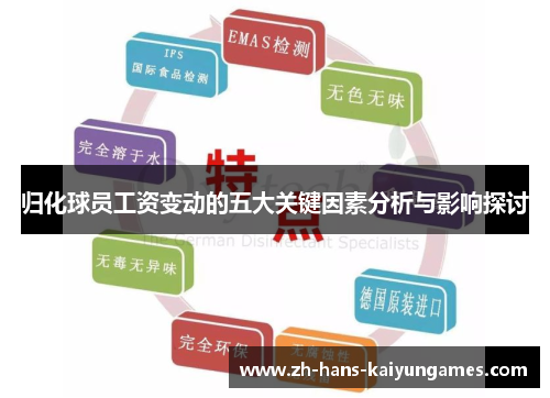 归化球员工资变动的五大关键因素分析与影响探讨