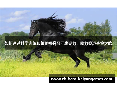 如何通过科学训练和策略提升马匹表现力，助力奥运夺金之路