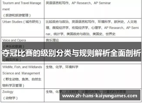 夺冠比赛的级别分类与规则解析全面剖析